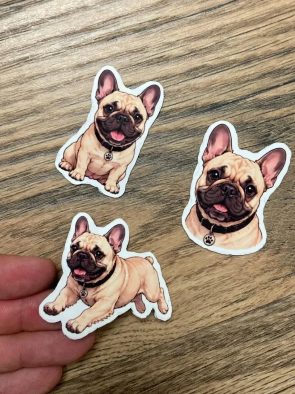 6 Flexible French Bulldog Dog Magnets 2 Sets Puppy Refrigerator Fridge Decor